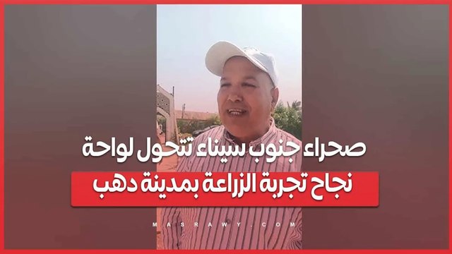 صحراء جنوب سيناء تتحول لواحة.. نجاح تجربة الزراعة بمدينة دهب
