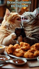 Cat Family 2025 🐱