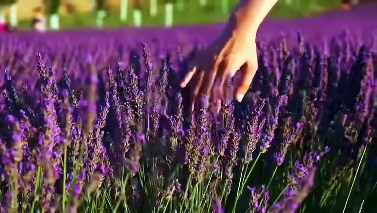 Sinop’ta yöresel lezzetler tadım ve tanıtım günleri başlıyor