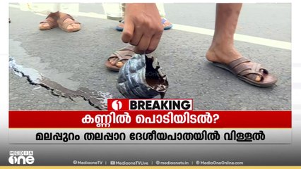 ദേശീയപാതയിലെ വിള്ളലുകൾ ടാറിന്റെ മിശ്രിതംകൊണ്ട് അടച്ചത് പരിശോധനയില്ലാതെ