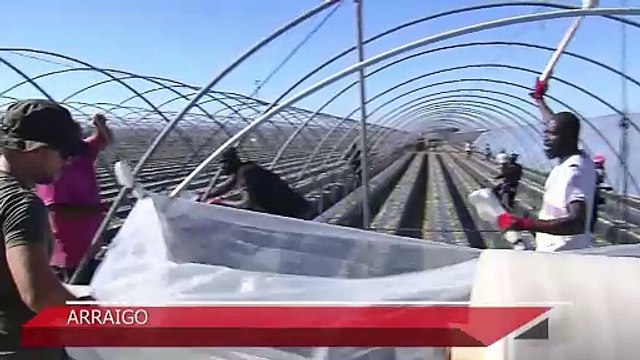 Nuevo Reglamento de Extranjería: cambios y novedades de la reforma que entra en vigor