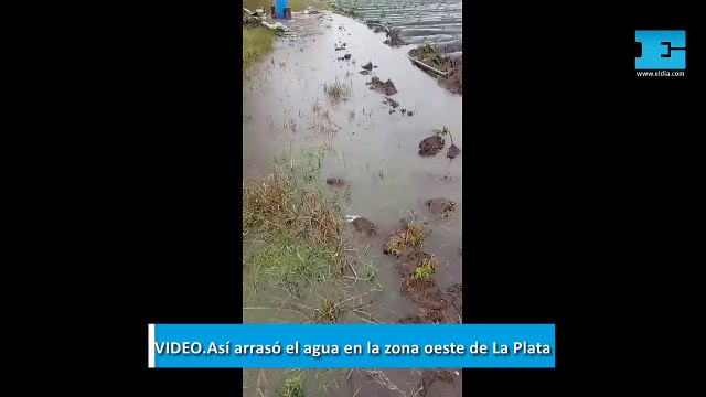 VIDEO. Perdimos la cosecha : el agua arrasó con los campos hortícolas en la zona oeste de La Plata