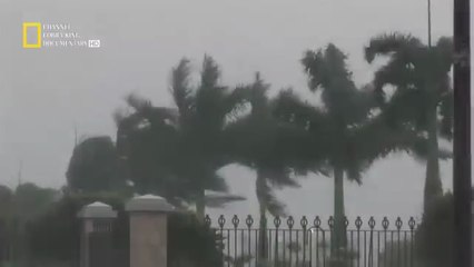 في مركز العاصفة