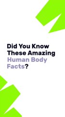 Top 10 Human Body Facts | Short Educational Video