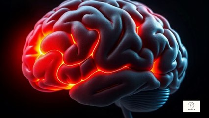 ⚠️ Lo Âu Mạn Tính Có Phải Là BỆNH THẦN KINH Khoa Học Mới Tiết Lộ Sự Thật!