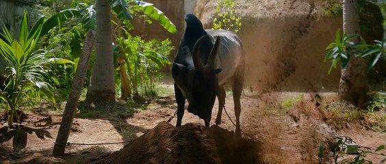 Meiyazhagan Tamil Movie Part 2