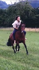 Saleemoffical presentation- Osam horsegraphy #horse