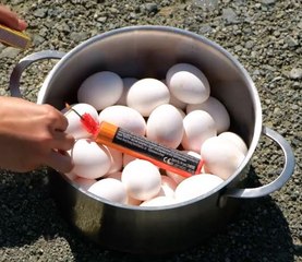 Egg-citing Easter DIYs That Spark Joy!