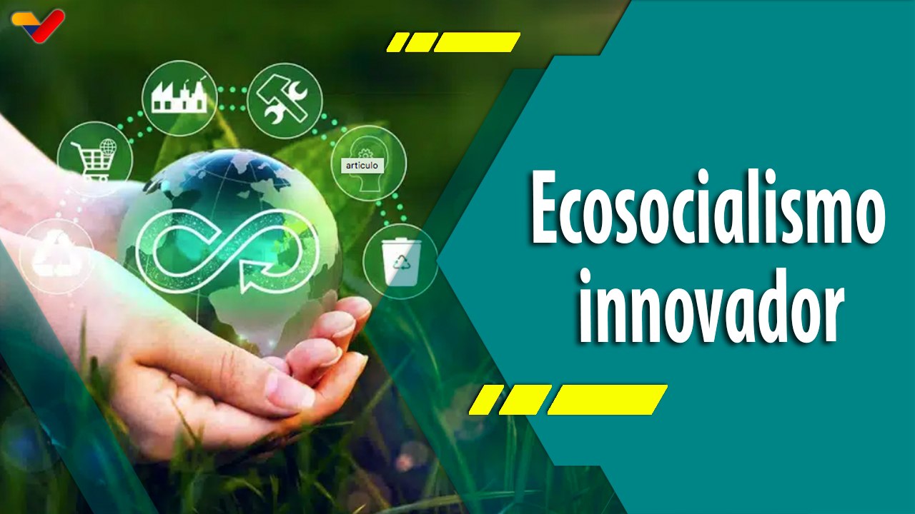 Punto Verde | Conoce los beneficios ambientales que produce el Plan "Comuna Escuela"