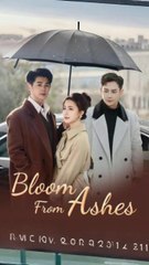 Bloom from Ashes chinese drama