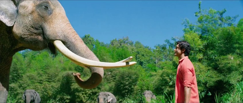 فيلم اكشن هندي الأدغال مترجم عربي جودة عالية