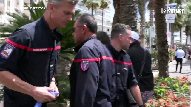 Cannes : un homme grièvement blessé par la chute d’un palmier sur la Croisette
