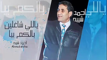 احمد شيبه لايف