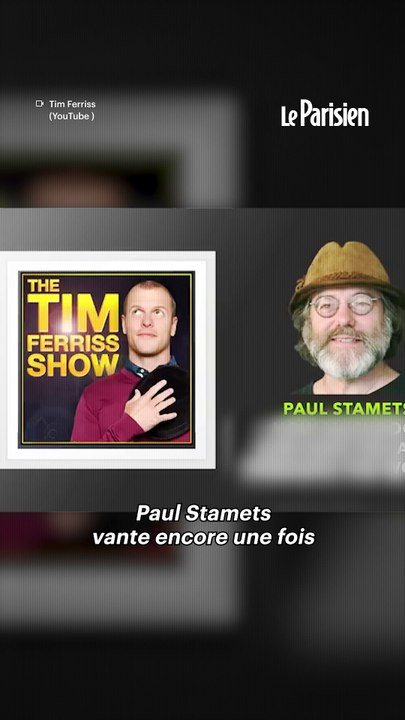 Ce champignon fait-il vraiment pousser les neurones ?