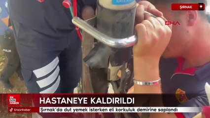 Şırnak'ta dut yemek isterken eli korkuluk demirine saplandı