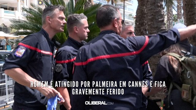 Homem é atingido por palmeira em Cannes e fica gravemente ferido