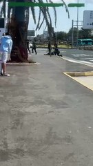 Vídeo de los hechos