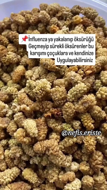 İbrahim Saraçoğlu önerdi: Kandaki iltihaba karşı beyaz dut kurusu kürü! Doğal gaz giderci, öksürük şurubu