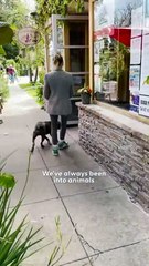 🐾 Lala Kent’s Single-Girl Confessions with Adoptable Pittie Goofy ❤️