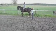 Apprentissage du piaffer