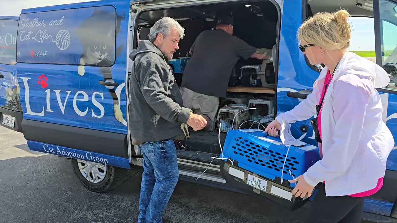 Ten Lives Club Receives Cats from Wings of Rescue