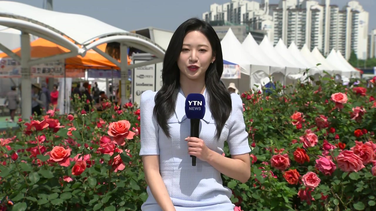 [날씨] 휴일, 완연한 봄 날씨...쾌청한 하늘 즐기는 시민들 / YTN