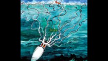 Unveiling Loch Ness: The Deep Sea Monster Legend!