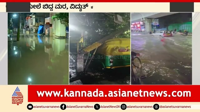 ಚಲಿಸುತ್ತಿದ್ದ ಆಟೋ ಮೇಲೆ ಬಿದ್ದ ಮರ | Bengaluru Rain | Suvarna News | Kannada News