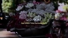 Allah 💓🙏🏻💓##