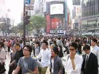Shibuya (3) passage piéton