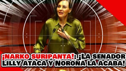 🔥🚨¡NARKA HIJA DE PU…TA! ¡La SENADOR LILLY LADRA con FURIA, pero NOROÑA la PONE en SU LUGAR!