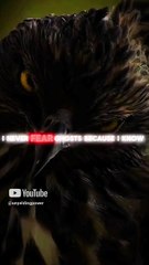 Rise & Inspire: How to Turn On Your Inner Beast ! Don't Miss it Watch This