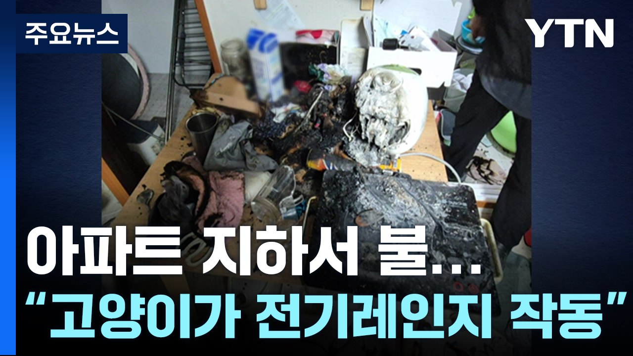 아파트 지하서 불...'고양이 원인' 빌라 폭발 사고 / YTN