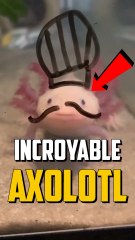 SI TU PERD UN BRAS ?!