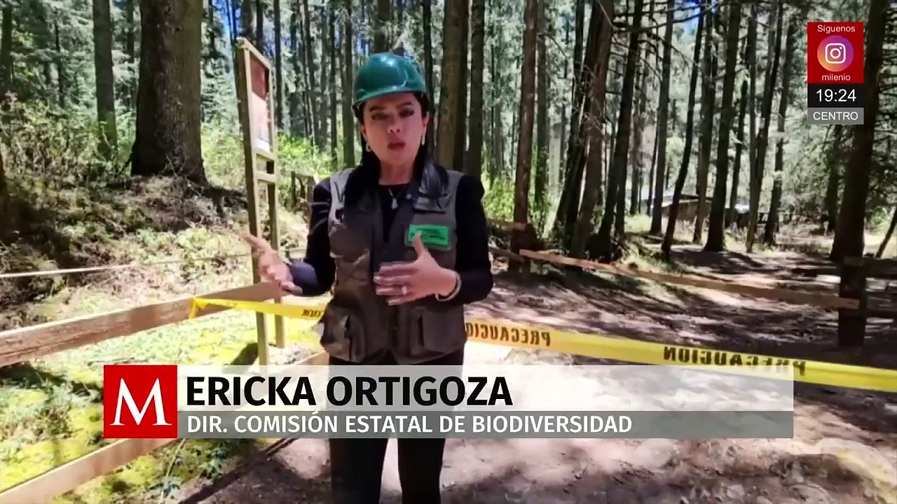 Milenio Noticias, con Rubén Carreón, 17 de mayo de 2025
