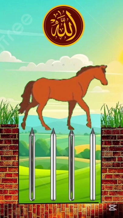 Mustafa Mustafa || Allah Hu Akbar || Islamic video - #trending #animals #islamicshorts #naat