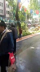 İzmit'te fırtına dehşeti! Ağaç kafenin üzerine devrildi