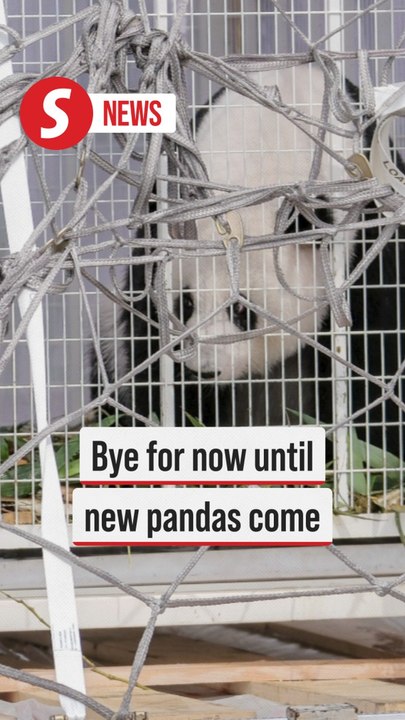 Goodbye for now but new pandas will arrive later this year, says Nik Nazmi