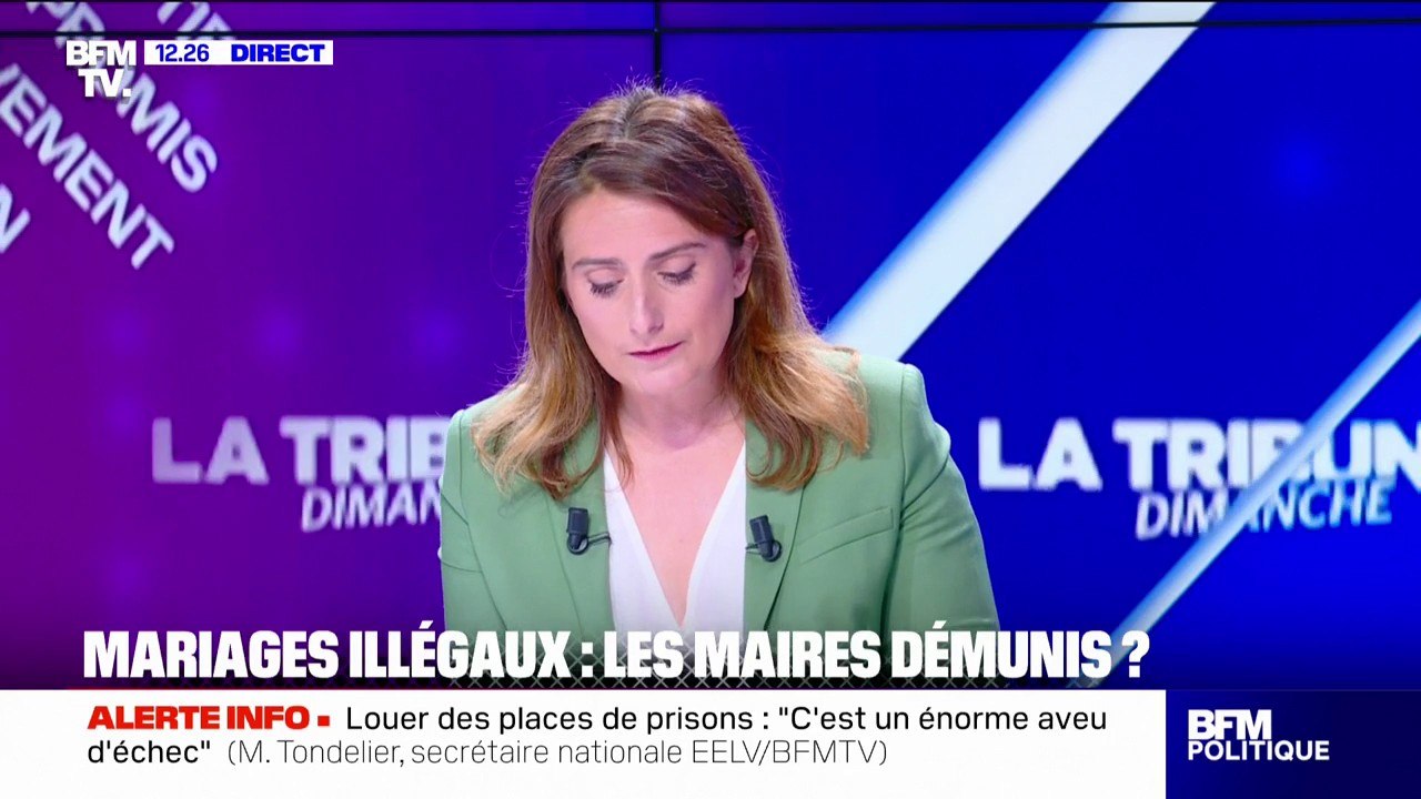 Interdire des mariages entre Français et étrangers illégaux: "C'est une proposition raciste", fustige Marine Tondelier