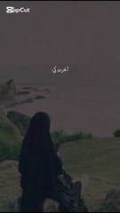 جب انسان اللہ کا نمائندہ بن جائے... دل کو چھو لینے والی ویڈیو