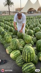 "Secrets of Fruit Farming!"