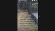 Mica Viciconte temporal de lluvia en Buenos Aires