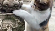 Interesting videos