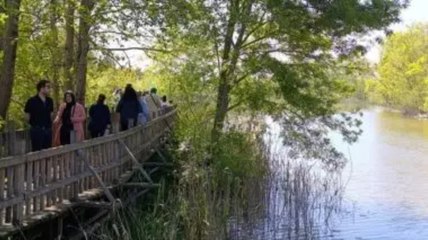 187 cins bitki ve 226 taksonu, 215 farklı kuş türü: Hafta sonu mutlaka gidin!