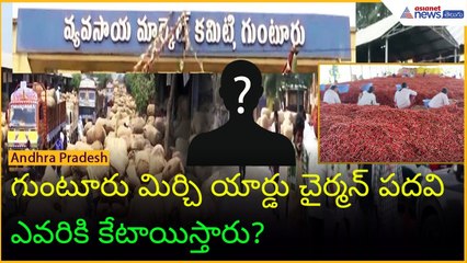 గుంటూరు మిర్చి యార్డు చైర్మన్ పదవిఎవరికి కేటాయిస్తారు?Guntur Mirchi Yard | Asianet News Telugu