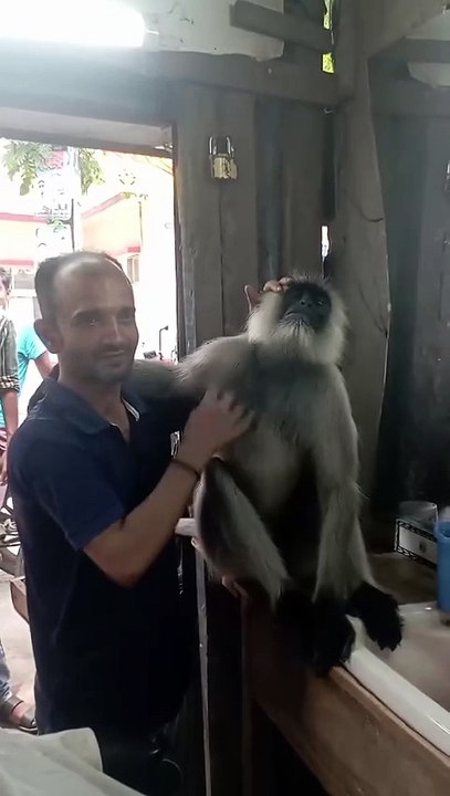 Pure friendship with honuman