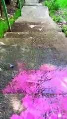 Rolling colorfull bottle on the stair
