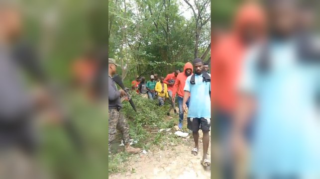 El Ejército detiene a 29 haitianos indocumentados que se desplazaban en zonas rurales