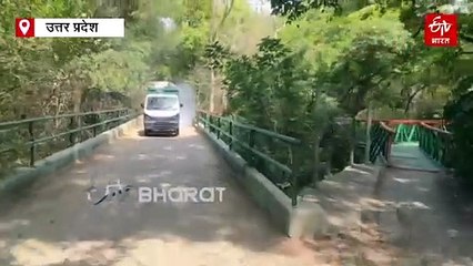 कानपुर जू में बर्ड फ्लू को लेकर रेड अलर्ट; कोरोना की तर्ज पर 62 कर्मियों की टेस्टिंग, IVRI बरेली भेजे गए 200 सर्विलांस सैंपल