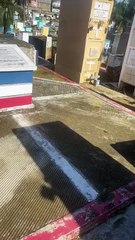 Monumento al olvido: el secreto de una fosa común en el cementerio de Cristo Rey